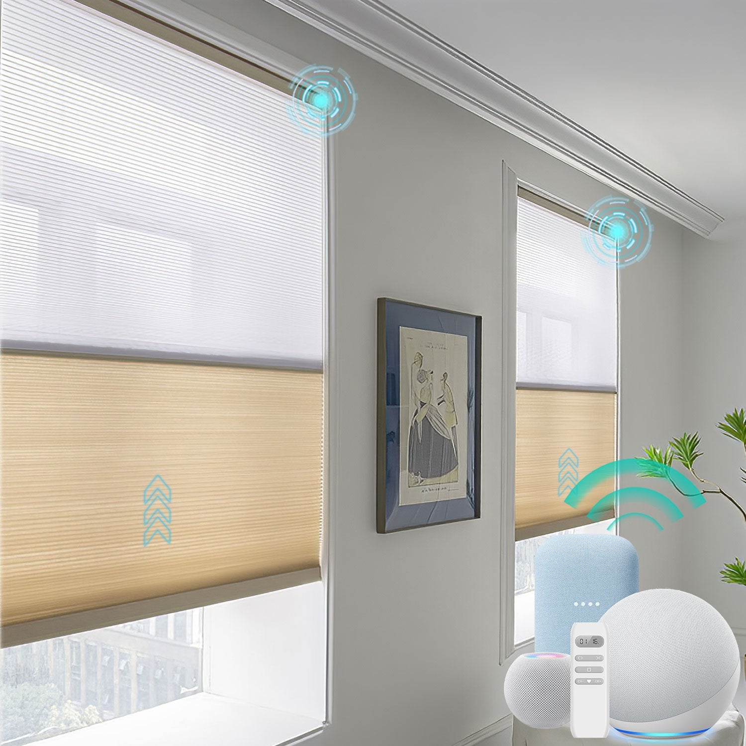 BlindsMagic Day and Night Motorized Cellular Shades - BlindsMagic