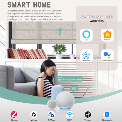 BlindsMagic Smart Motorized Roller Shades 65% Blackout PVC Free Whimsy - BlindsMagic